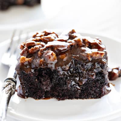 Dark Chocolate Cake with Buttermilk Pecan Frosting