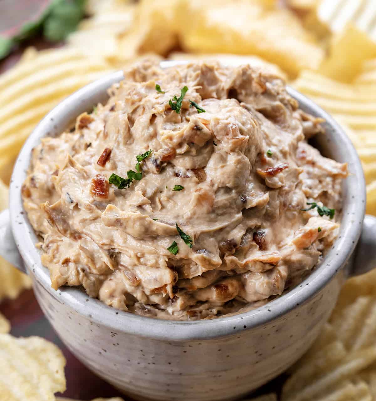 Bowl of Caramelized French Onion Dip with Potato Chips Around It.