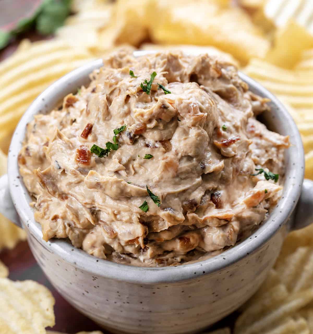 Homemade French Onion Dip - Brown Eyed Baker