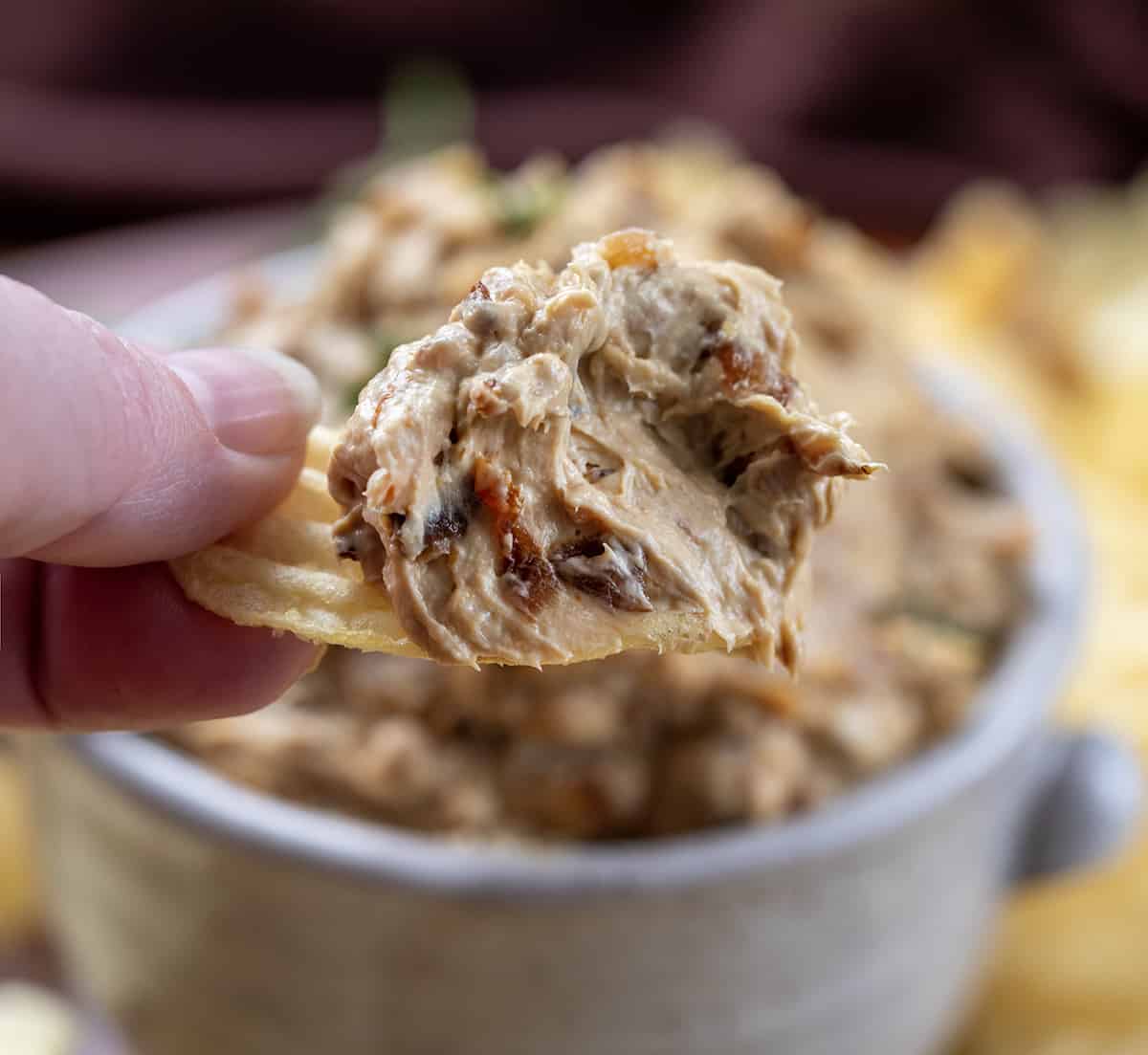 Hand Holding Potato Chip with Caramelized French Onion Dip on It.