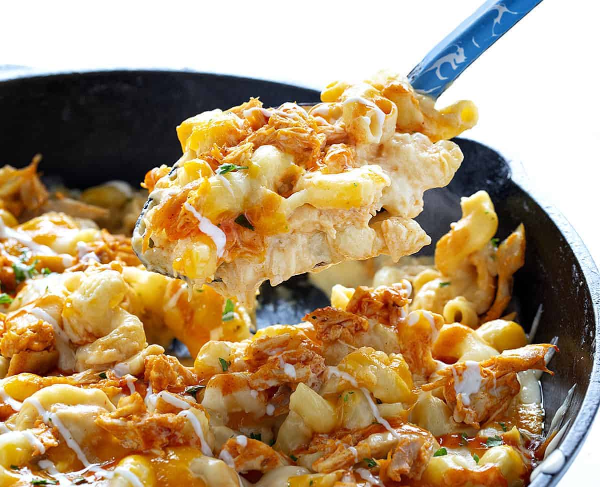 Buffalo Chicken Macaroni And Cheese