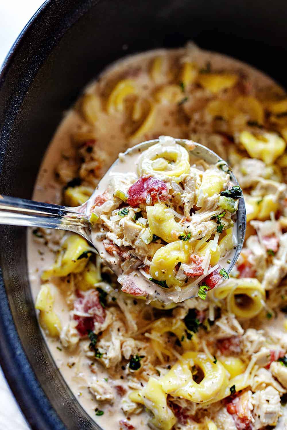 Ladle full of Creamy Chicken Tortellini Soup