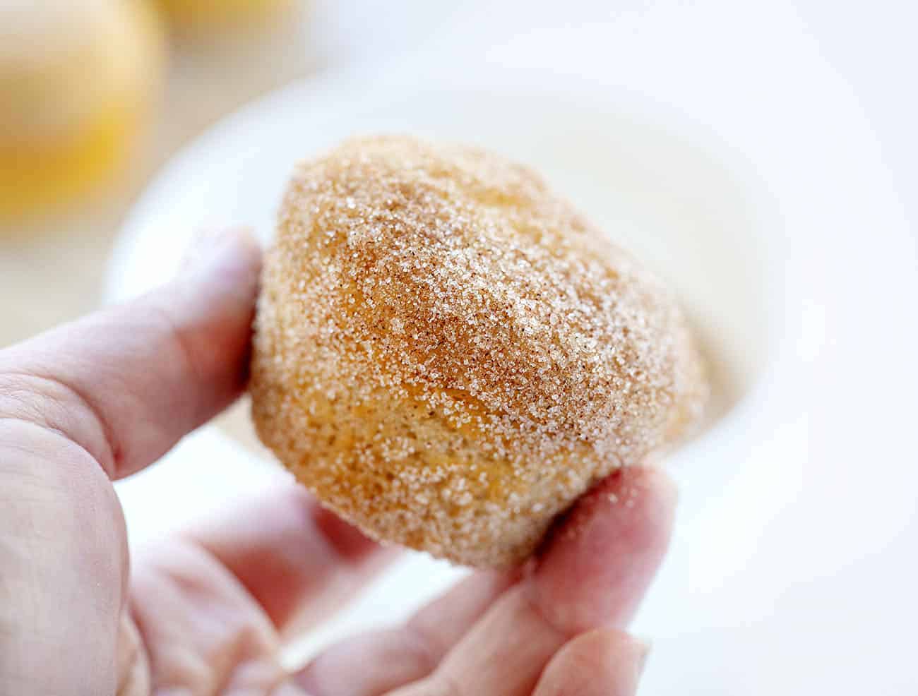 Cinnamon Sugar Donut Muffins