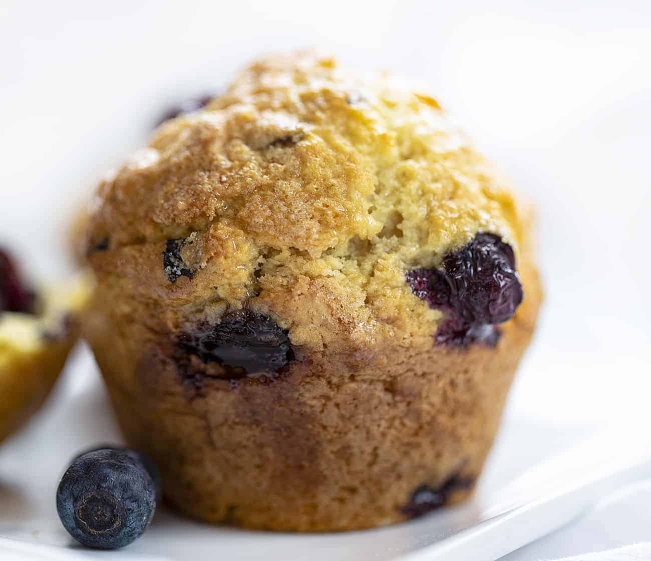 One Sourdough Blueberry Muffin on White Plate with Blueberry Nearby
