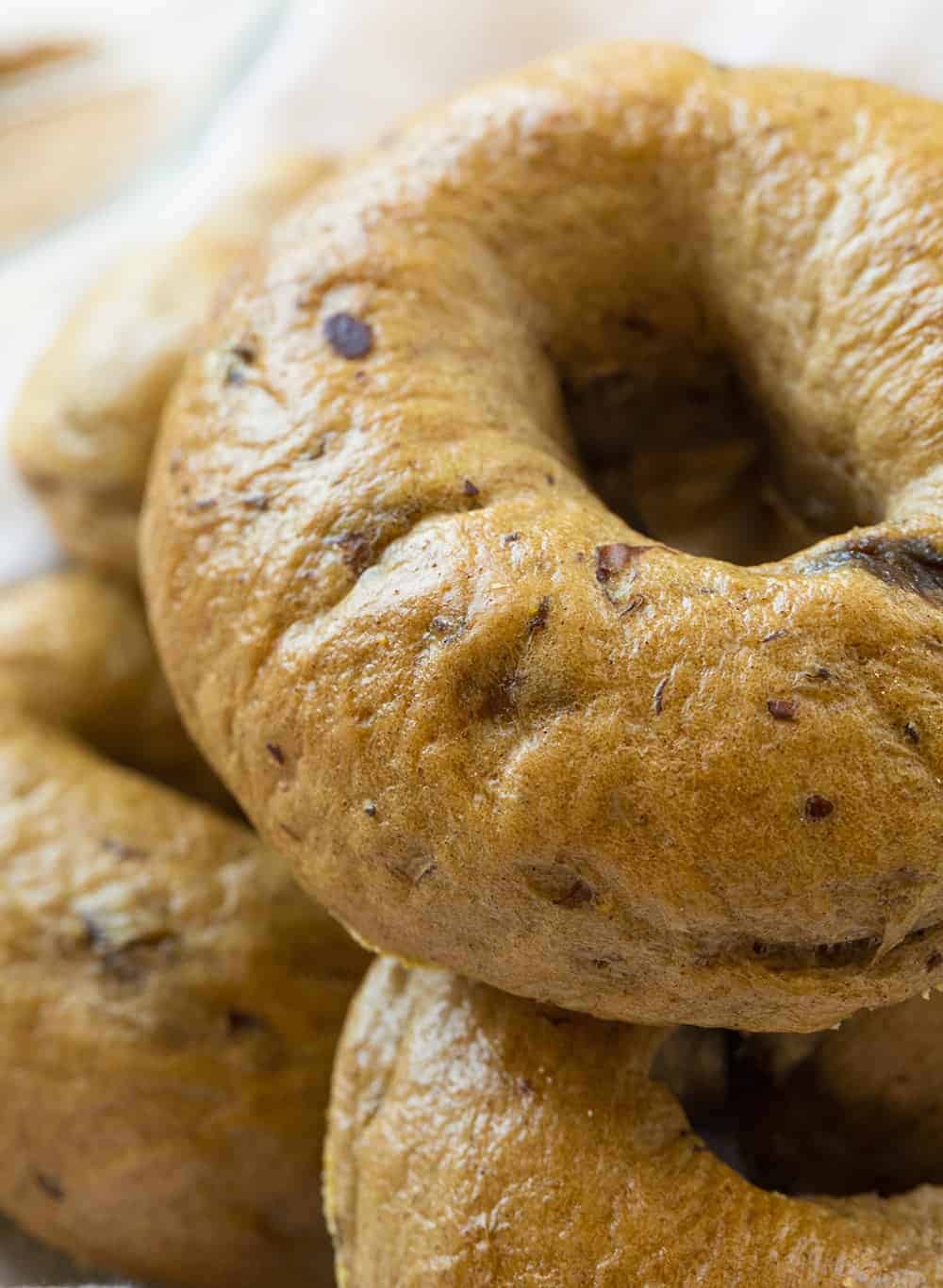Cinnamon Raisin Bagel Close Up to See the Texture
