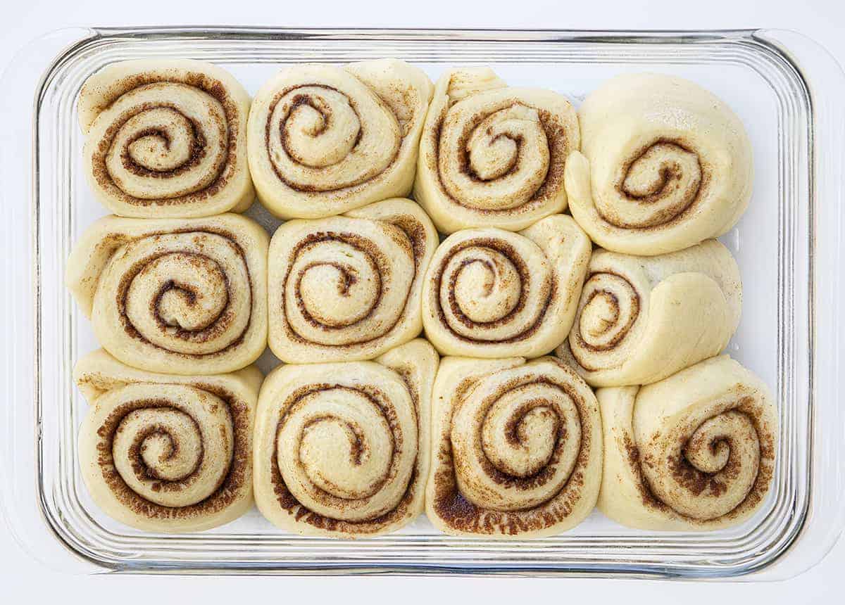 Cinnamon Rolls After Baking but without Frosting from Overhead