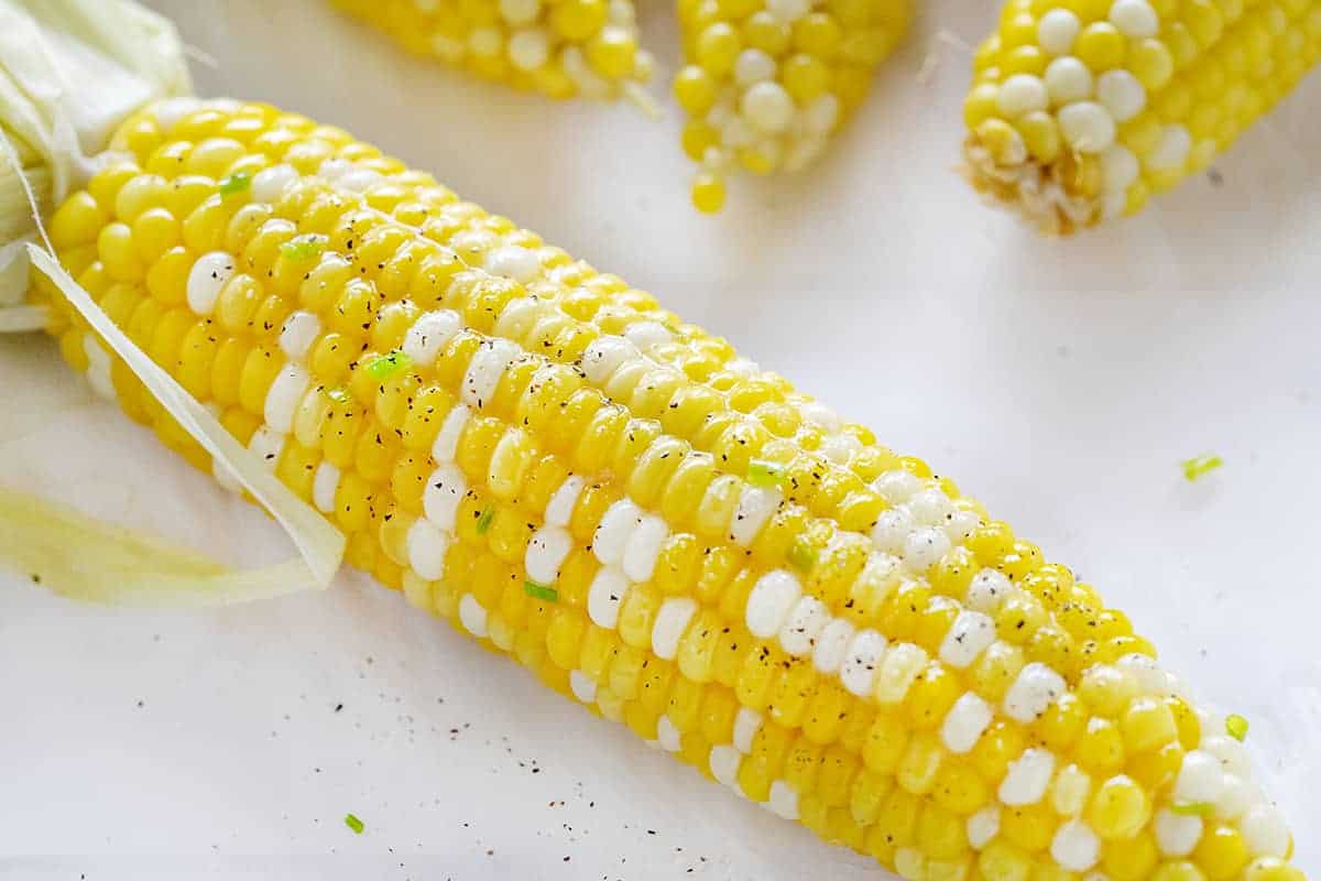 Ear of Grilled Corn on the Cob