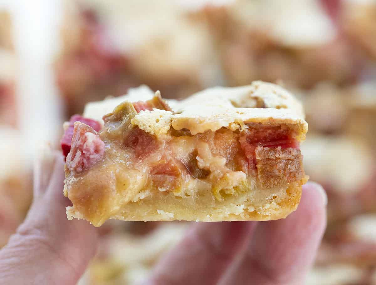 Hand Holding Rhubarb Bar