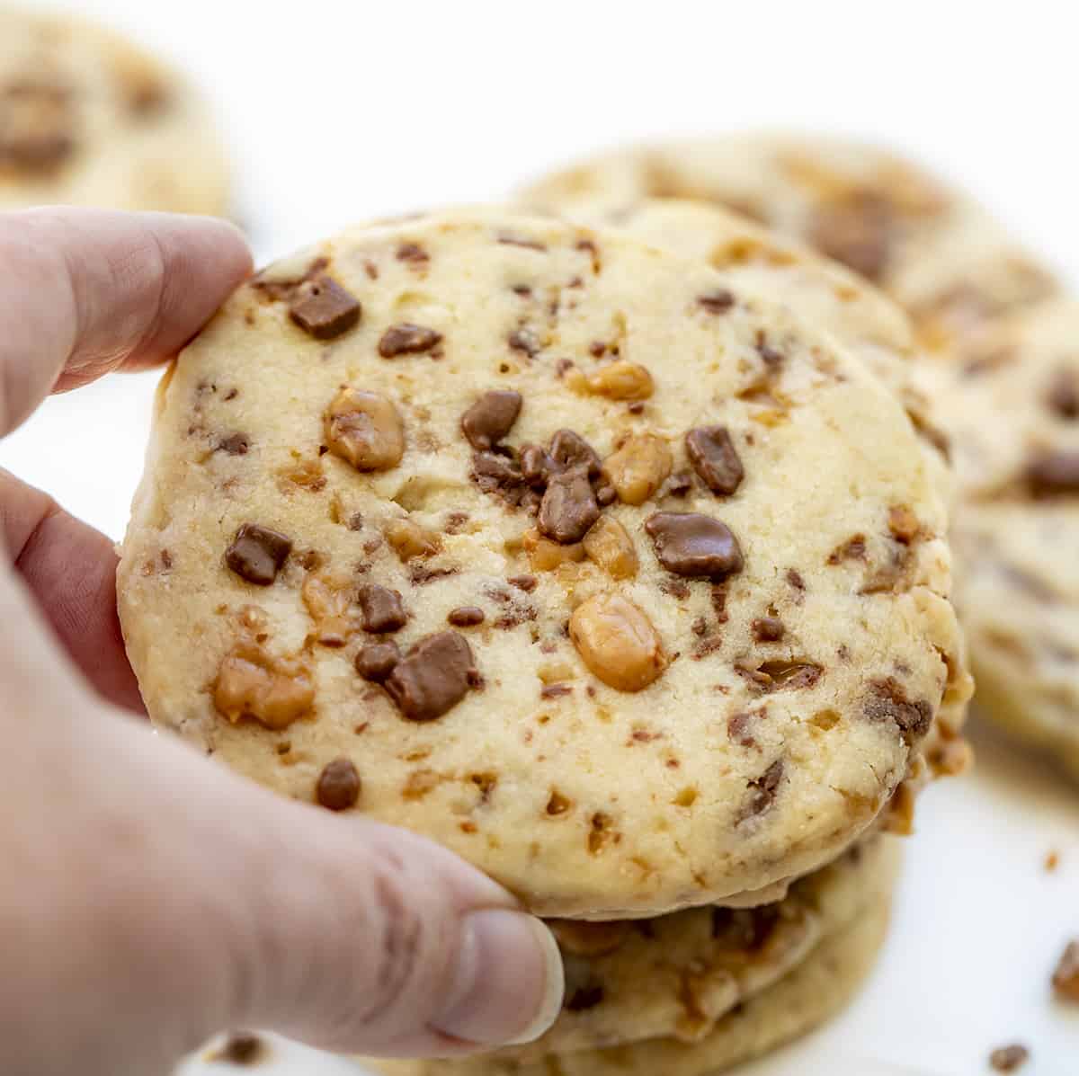 Hand Picking Up Toffee Icebox Cookie. Cookies, Baking, Icebox Cookies, Toffee Cookies, Chocolate Toffee Cookies, Cookie Recipes, Can You Freeze Cookies, Shortbread Cookies, Dessert, i am baker, iambaker