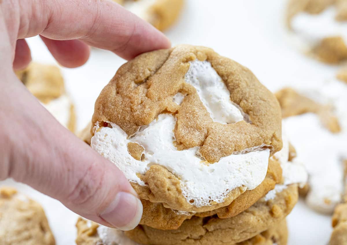 Hand Picking up a Fluffernutter Cookie. Baking, Cookies, Cookie Recipes, Peanut Butter Cookies, Peanut Butter Marshmallow Cookies, Marshmallow Fluff, Cookie Exchange, Dessert, Easy Cookies, i am baker, iambaker