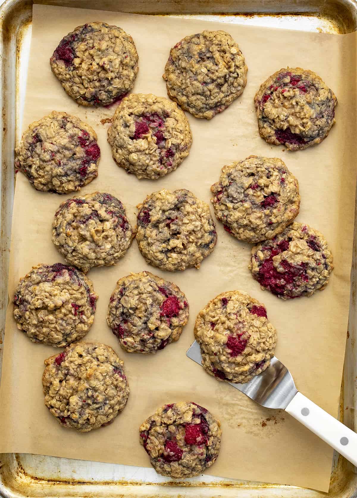 Pan of Raspberry Oatmeal Cookies Hot out Of The Oven. Cookies, Baking, Raspberry Cookies, Raspberry Oatmeal Cookies, Cookie Recipes, Cookie Exchange, Fruit Cookies, Summer Baking, Healthier Cookie Recipes, Dessert, i am baker, iambaker