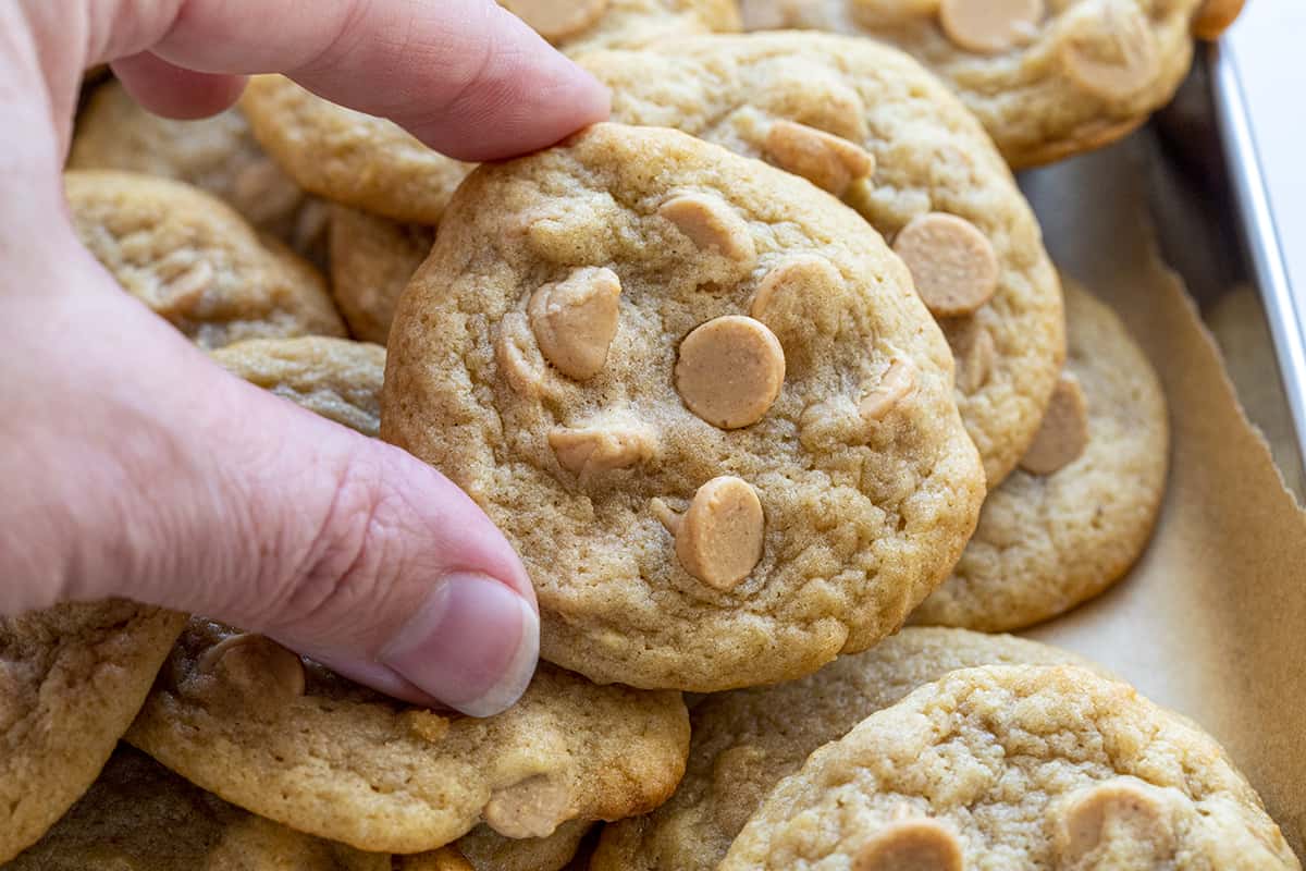 Hand Holding a Banana Peanut Butter Chip Cookie. Baking, Cookies, Cookie Exchange, Christmas Cookies, Banana Cookies, Peanut Butter Chip Cookies, How to Make Chewy Cookies, Soft Cookies, Elvis Cookies, Dessert, Cookie Recipes, i am baker, iambaker