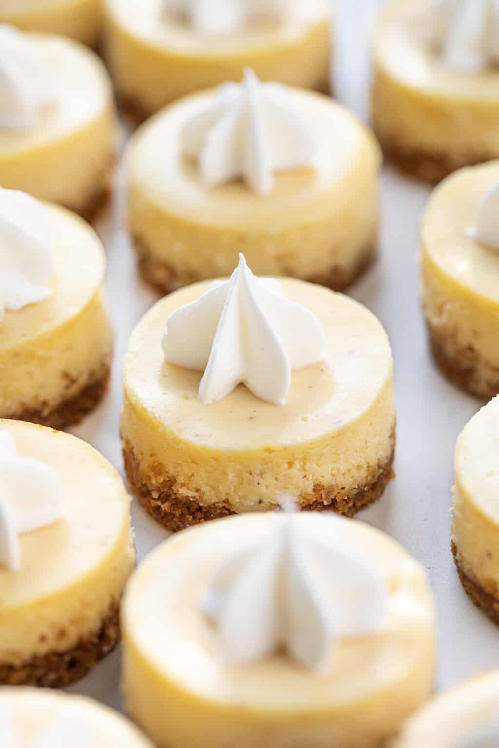 Mini Eggnog Cheesecakes i am baker