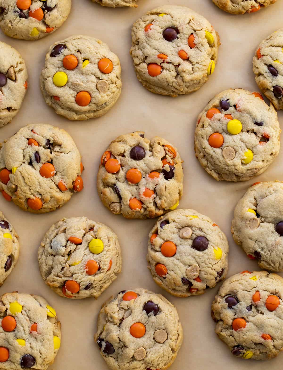 Reese's Pieces Peanut Butter Cookies from Overhead on Parchment Paper.