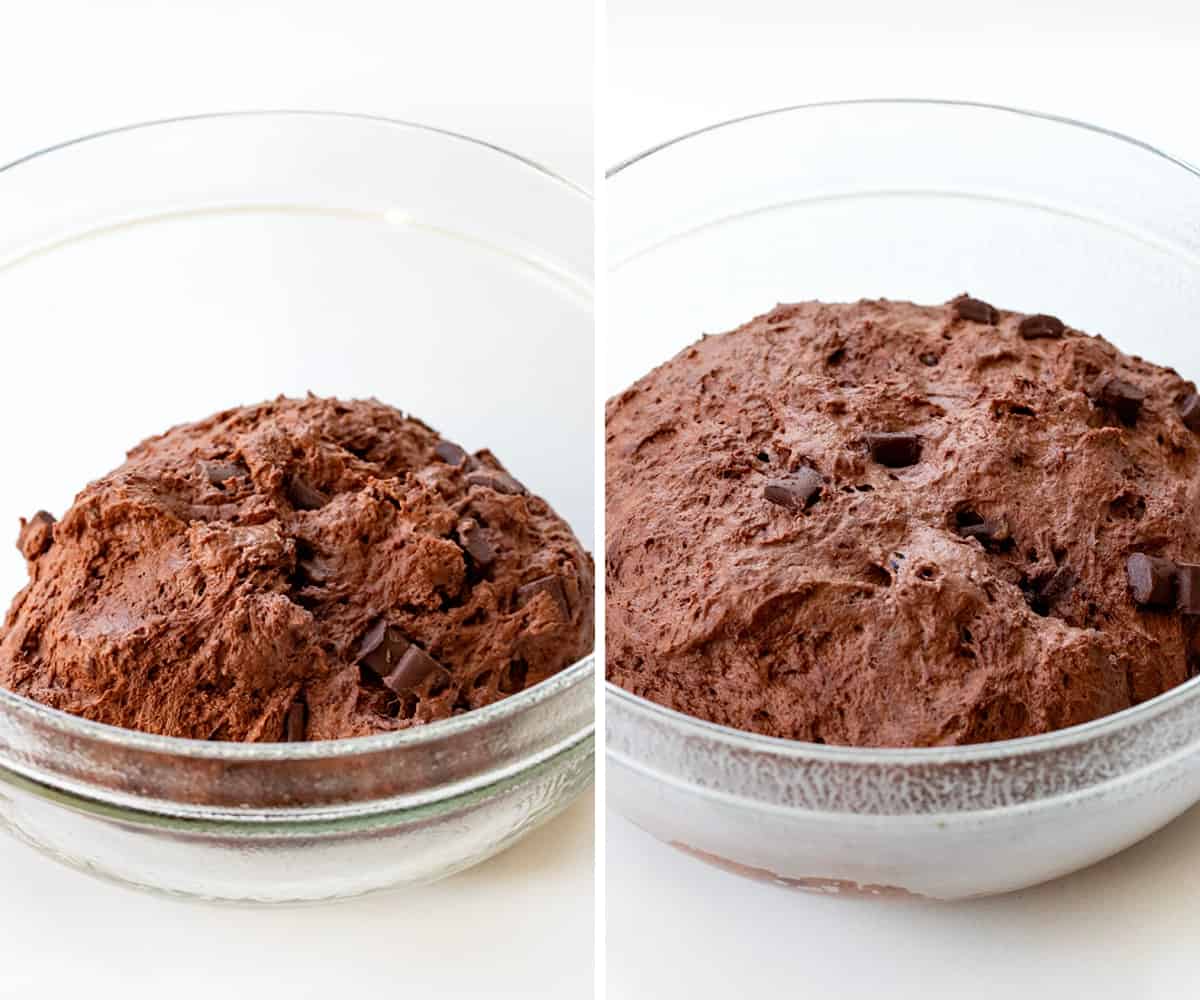 Chocolate Focaccia Bread Dough in a Bowl Before Rising and After.