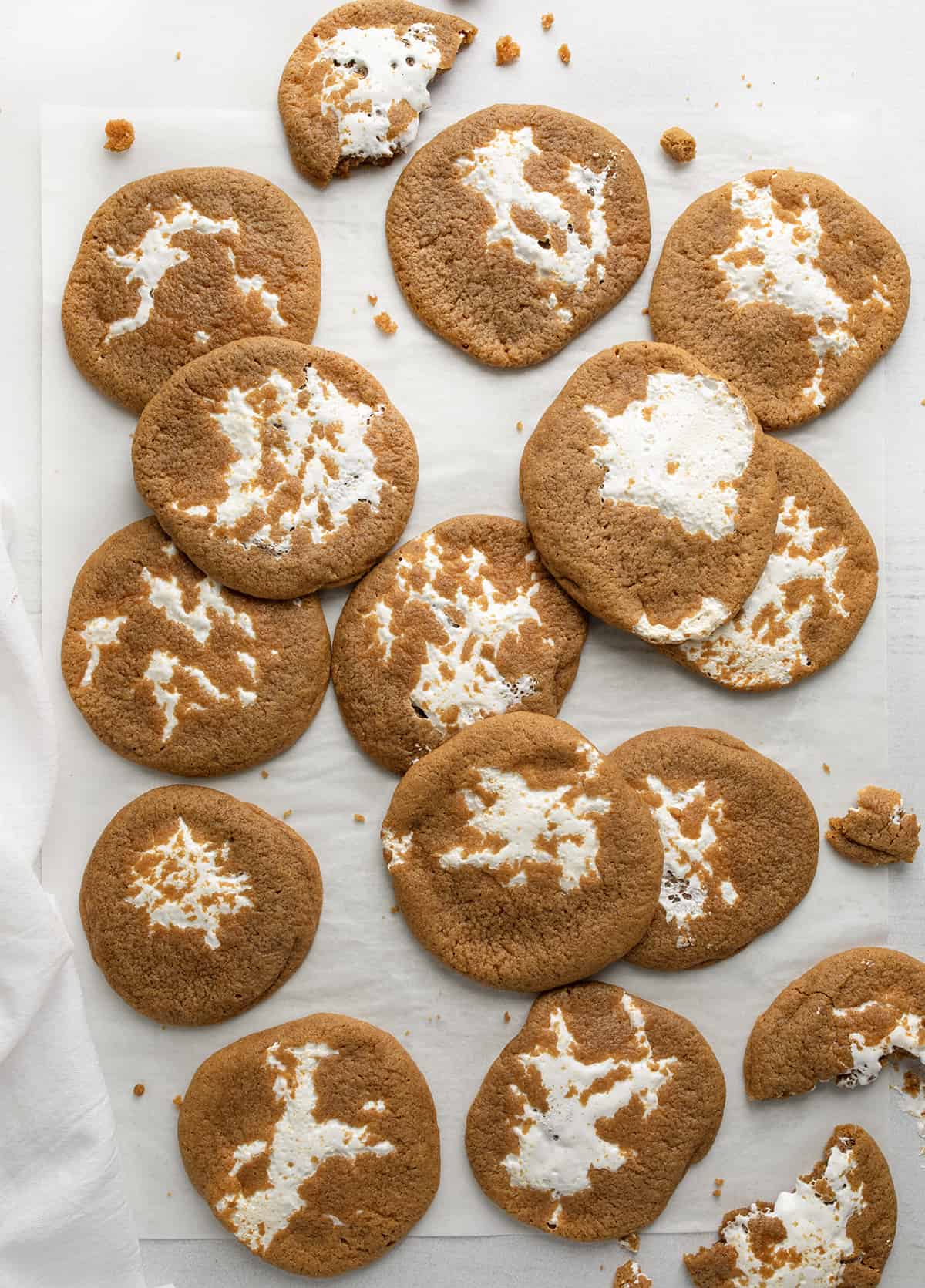 Soft Molasses Crinkle Cookies Recipe - Amanda Wilens