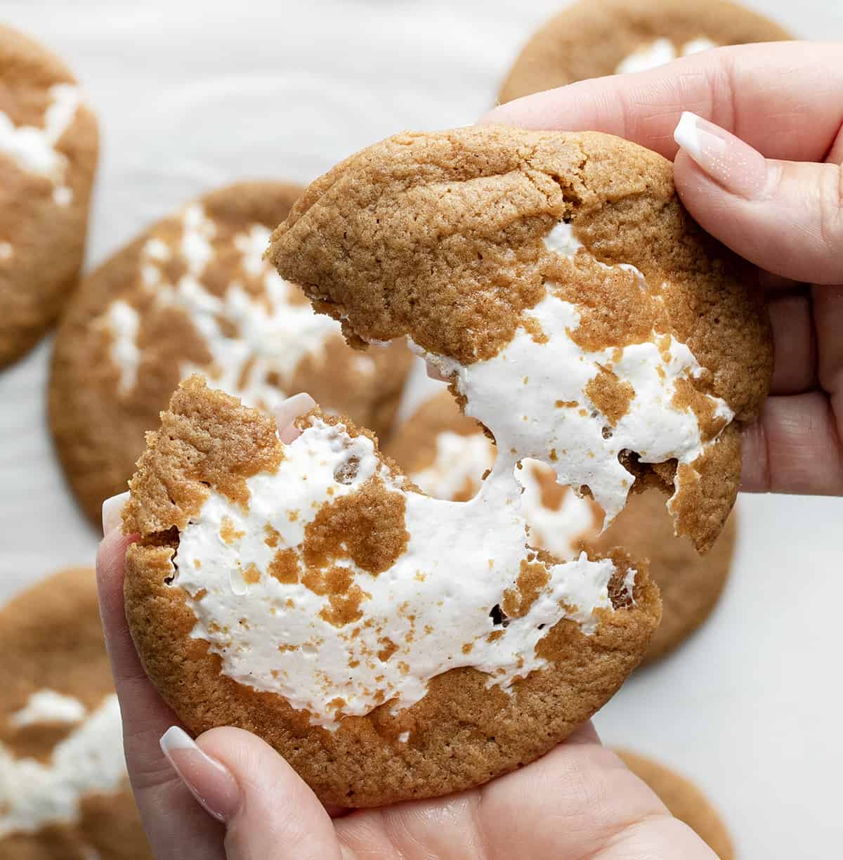 Hands Pulling Apart a Marshmallow Ginger Cookie.
