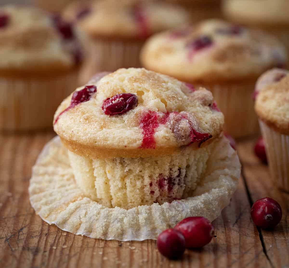 One Cranberry Orange Muffin with Wrapper Pulled Down.