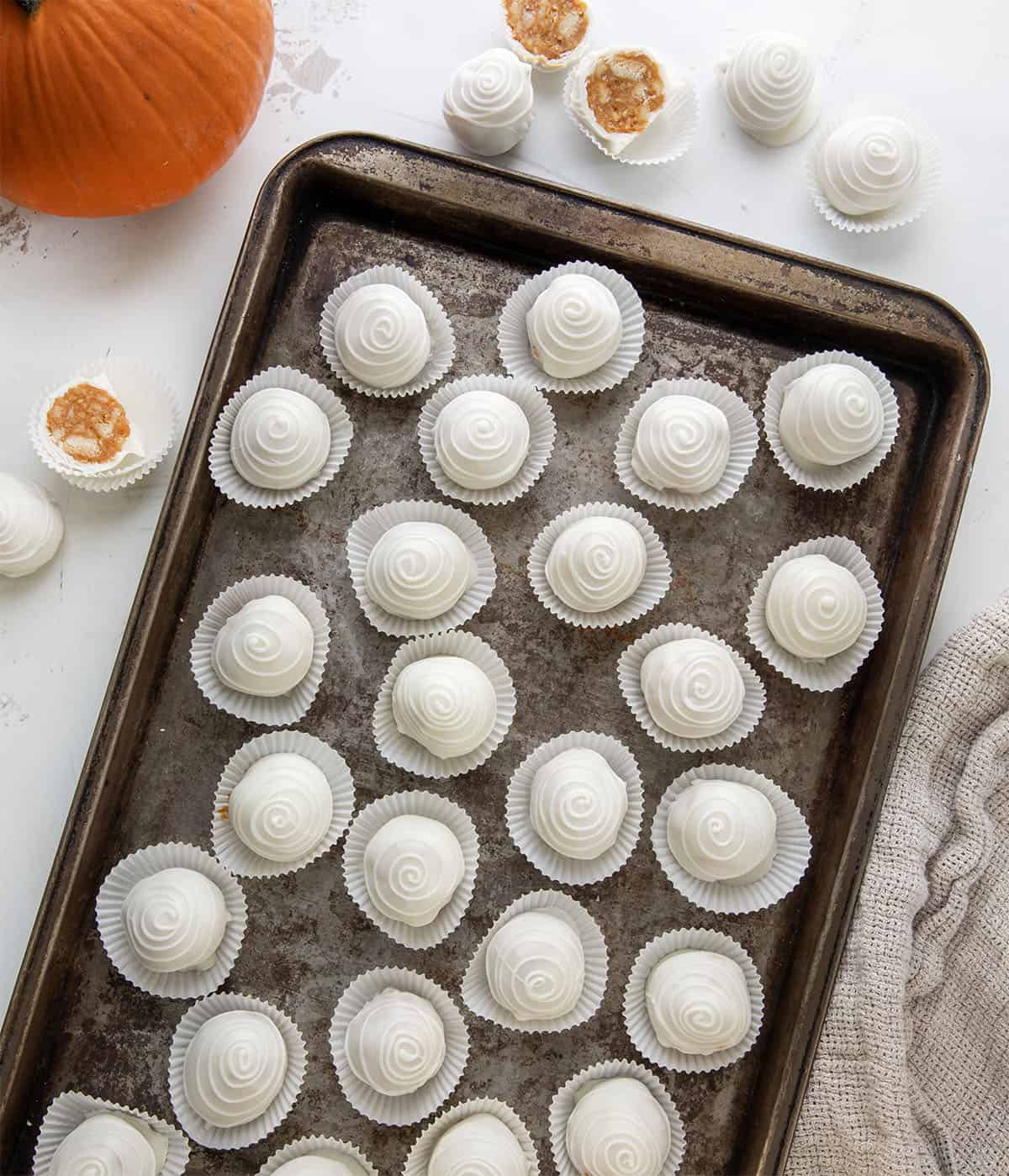 Pumpkin Truffles on a tray on a white table with a pumpkin from overhead.