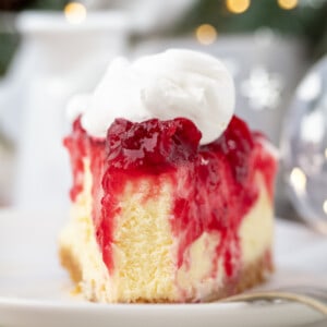 Piece of Cranberry Cheesecake with a bite removed showing texture.