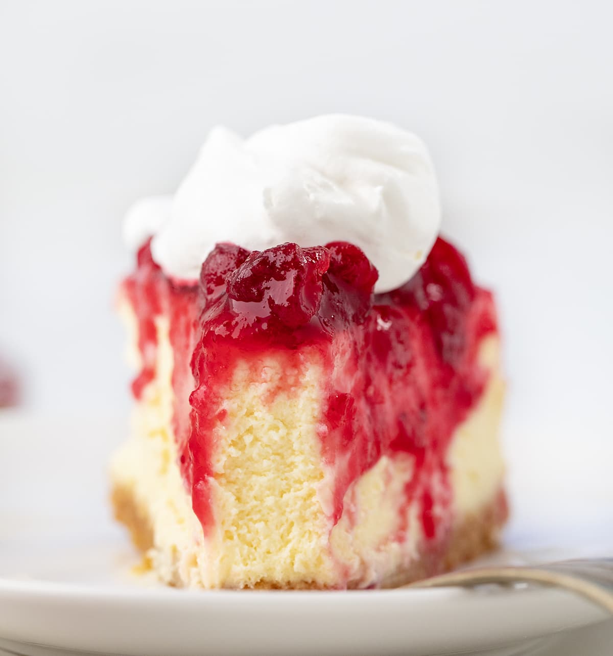 Piece of Cranberry Cheesecake with a bite removed showing texture.