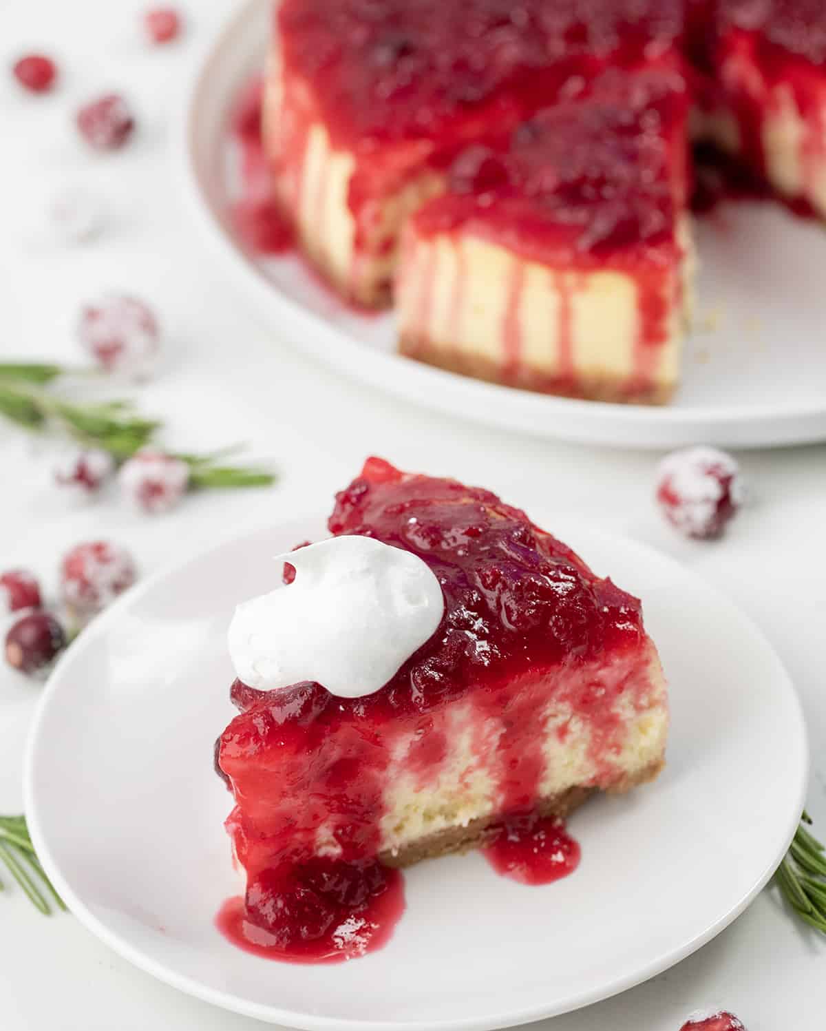 Slice of Cranberry Cheesecake on a white plate next to the cheesecake on a white counter.