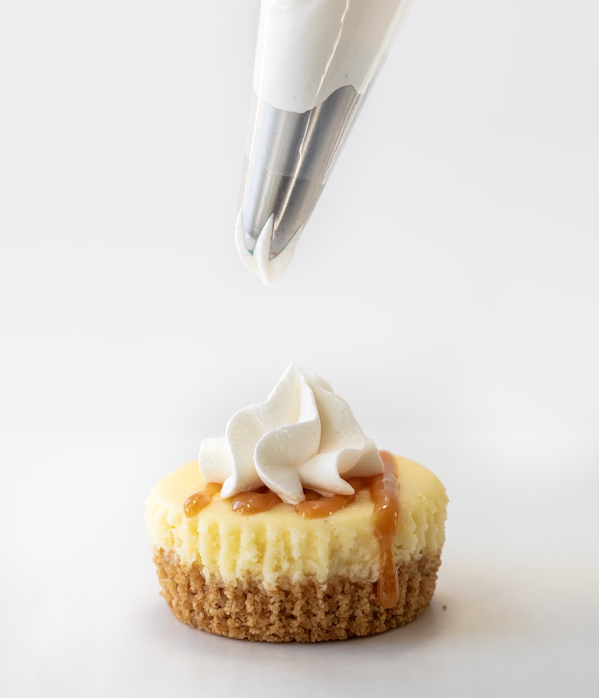 Adding dollop of whipped cream to mini cheesecake bite.