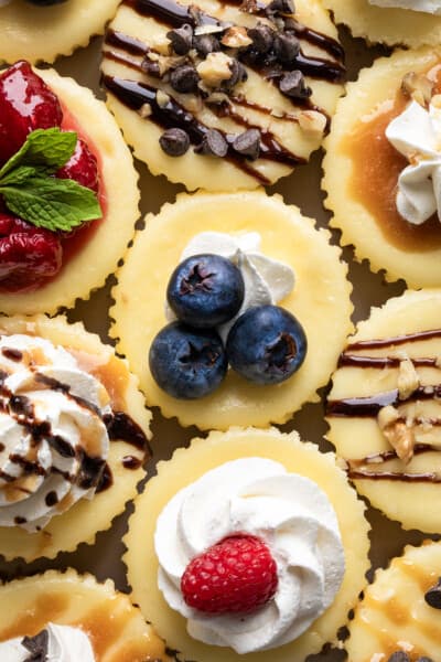 Mini Cheesecake Recipe - i am baker