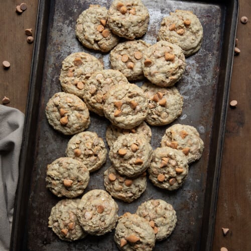 Oatmeal Scotchies on a cookie sheet from overhead.