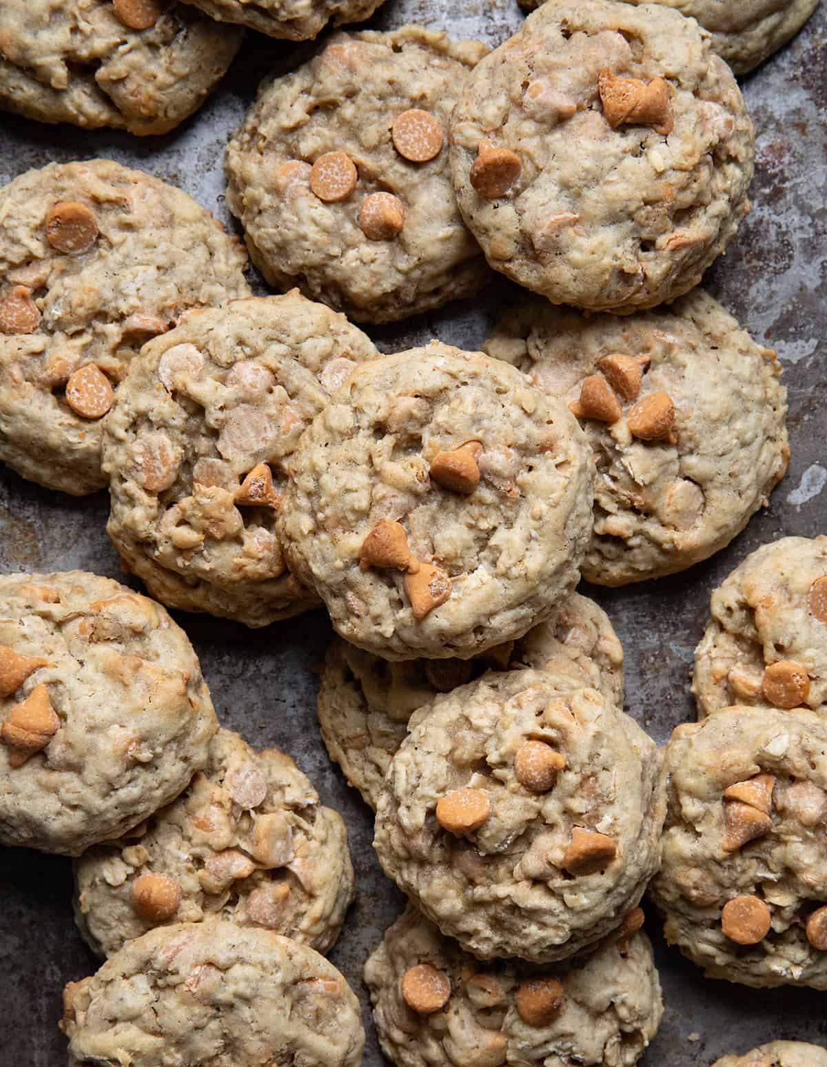 Oatmeal Scotchies on a cookie sheet from overhead.