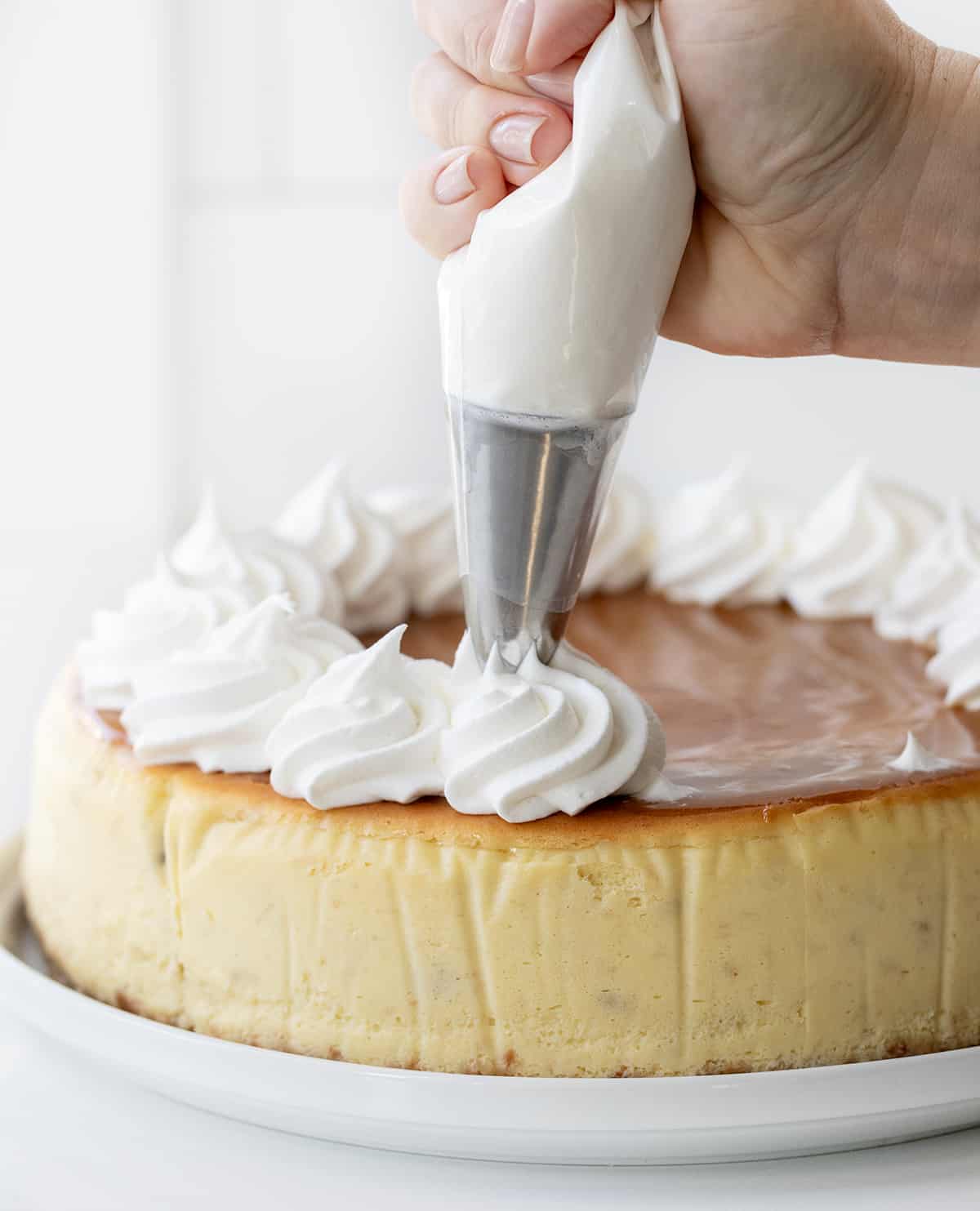 Piping whipped topping onto a Banana Pudding Cheesecake.