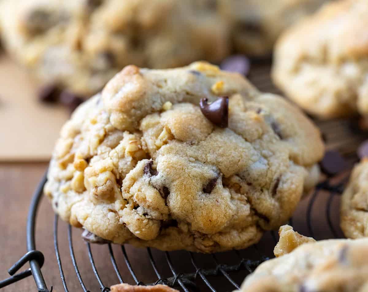 Close up of a Copycat Levain Bakery Chocolate Chip Cookie or a chocolate chip walnut cookie.