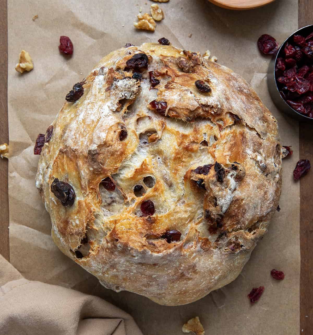 Whole loaf of Cranberry Walnut Bread on brown parchment paper on a wooden table from overhead.