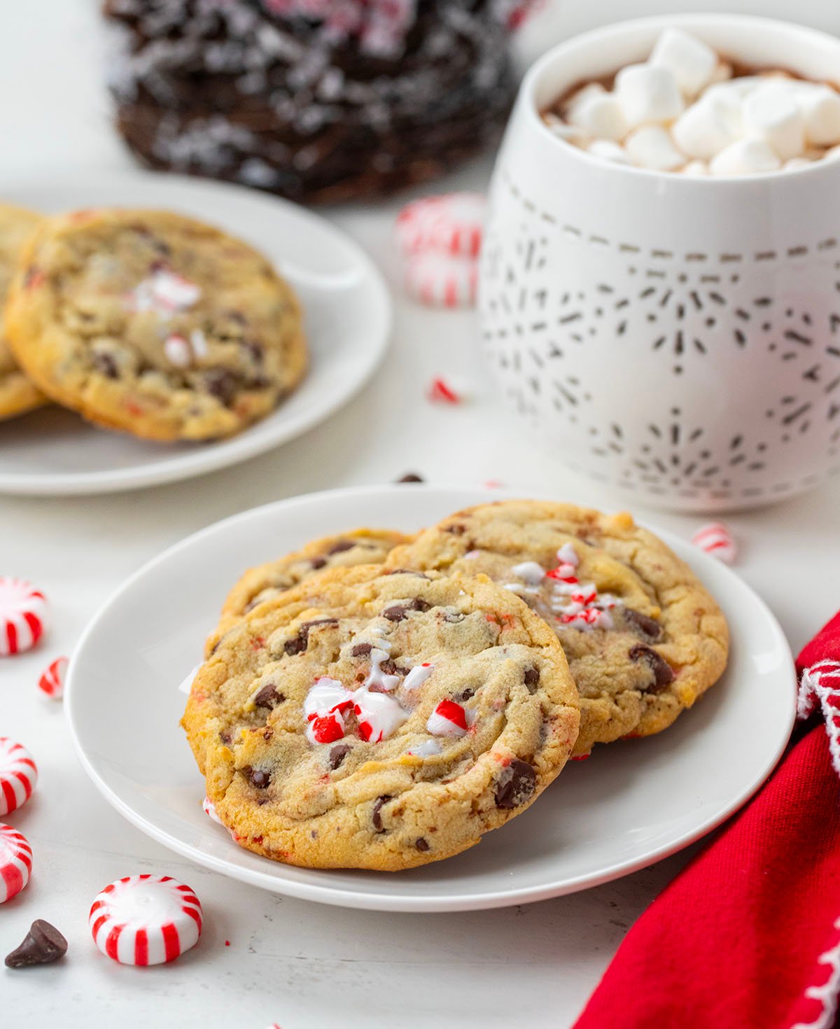 Peppermint Chocolate Chip Cookies on a white plate on a table with cocoa and peppermint candies.