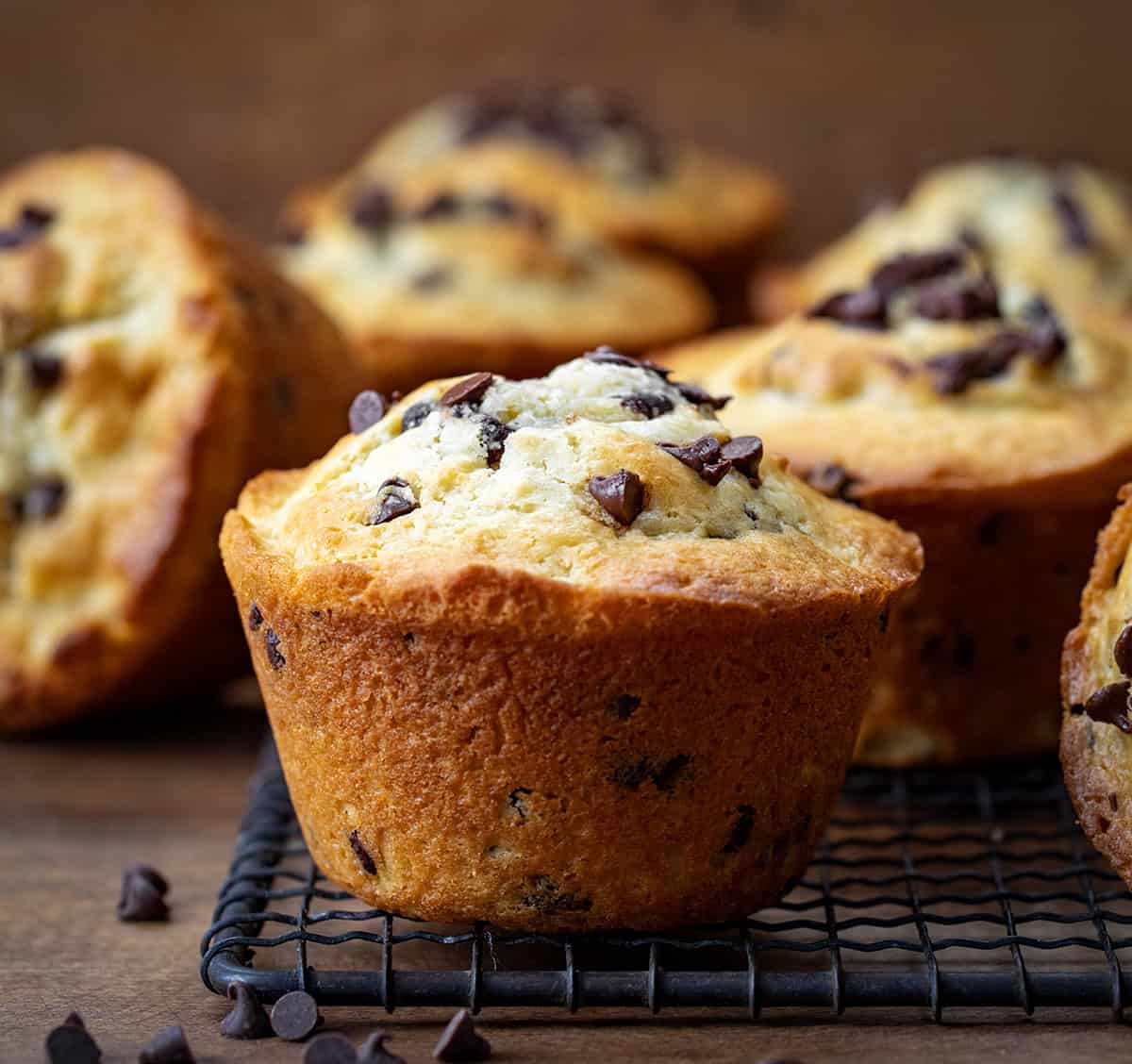 Close up of a Bakery Style Chocolate Chip Muffin on a rack.