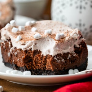 One Hot Chocolate Cheesecake Bar on a white plate with a bite removed showing texture.