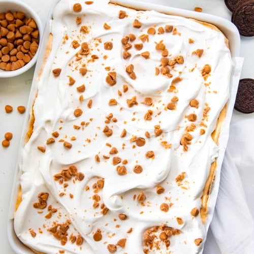 Pan of Butterscotch Mud Bars on a white table from overhead.
