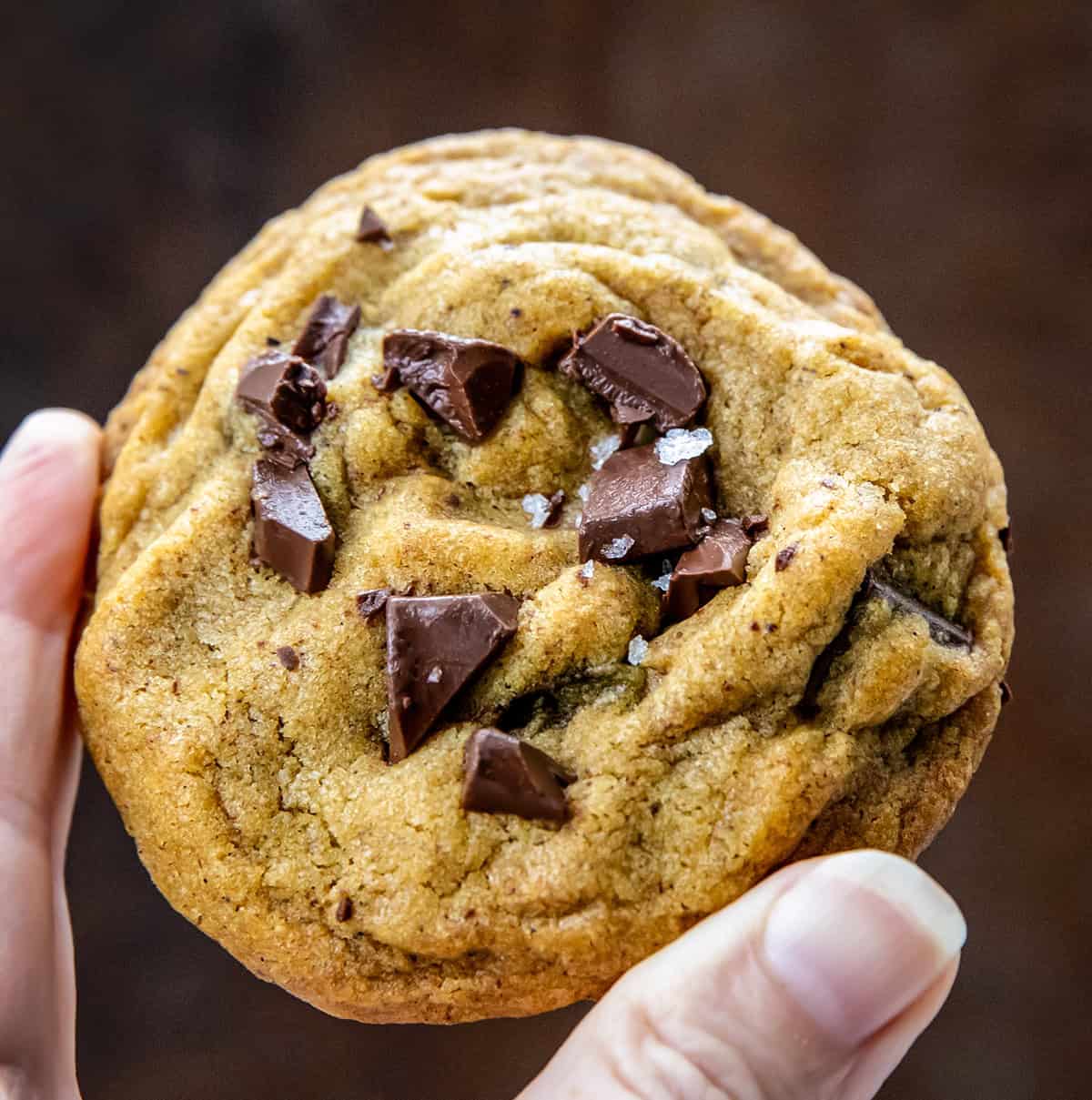 These Browned Butter Pumpkin Chocolate Chip Cookies are soft, chewy, and bursting with cozy fall flavors. The nutty richness of browned butter pairs perfectly with pumpkin and pumpkin pie spice, while melty chocolate chunks add indulgence in every bite! Hand holding a Browned Butter Pumpkin Chocolate Chip Cookie.