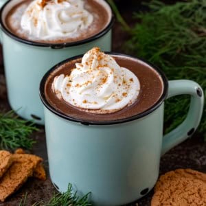 Glasses of Gingerbread Hot Chocolate on a dark table with evergreens and whipped topping and gingersnaps.