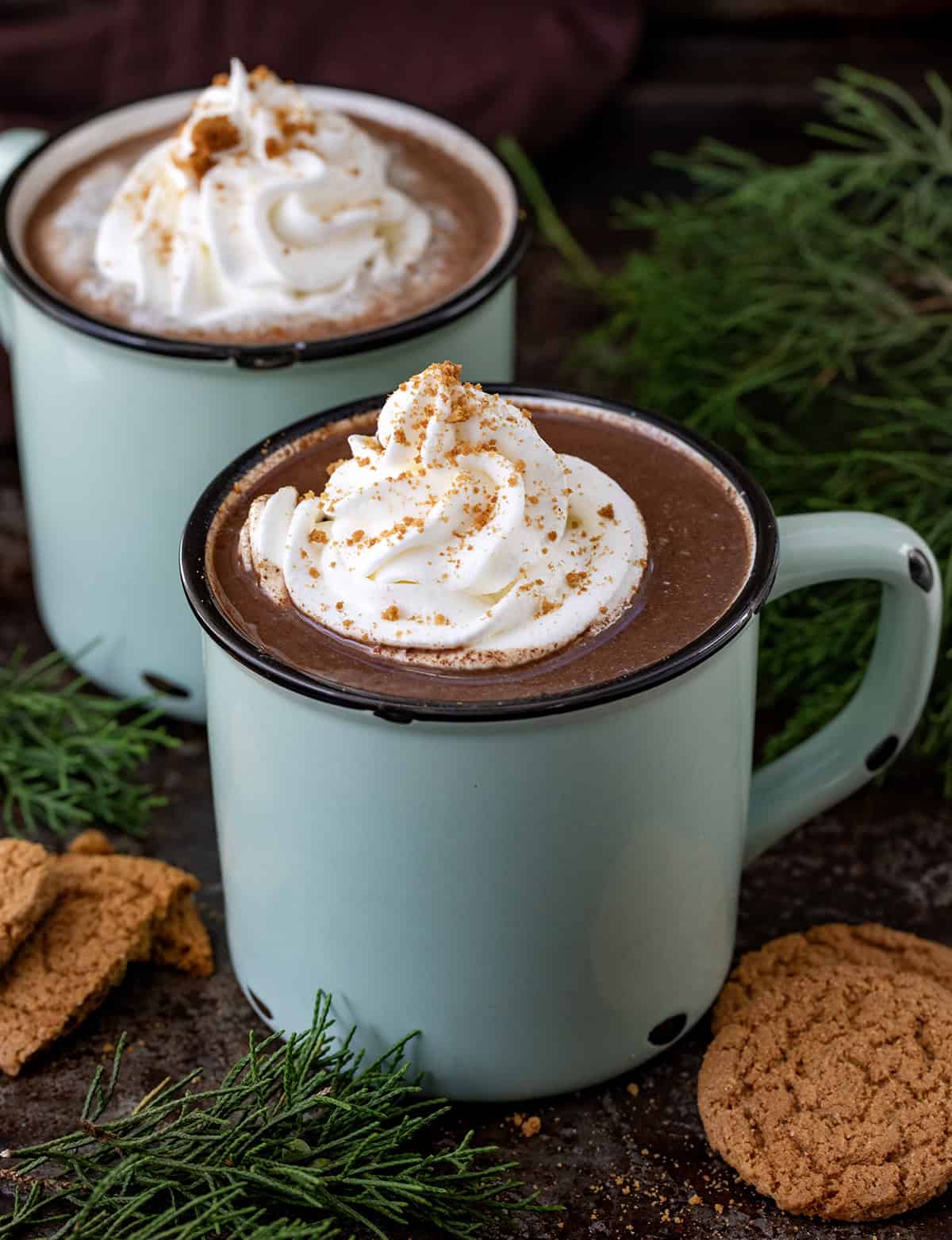 Glasses of Gingerbread Hot Chocolate on a dark table with evergreens and whipped topping and gingersnaps. 