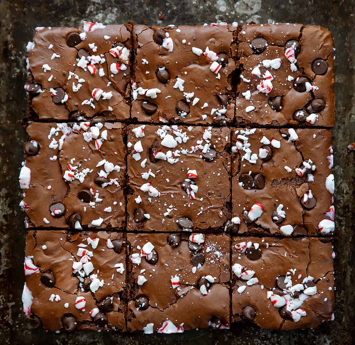 Peppermint Brownies cut into squares fromoverhead.