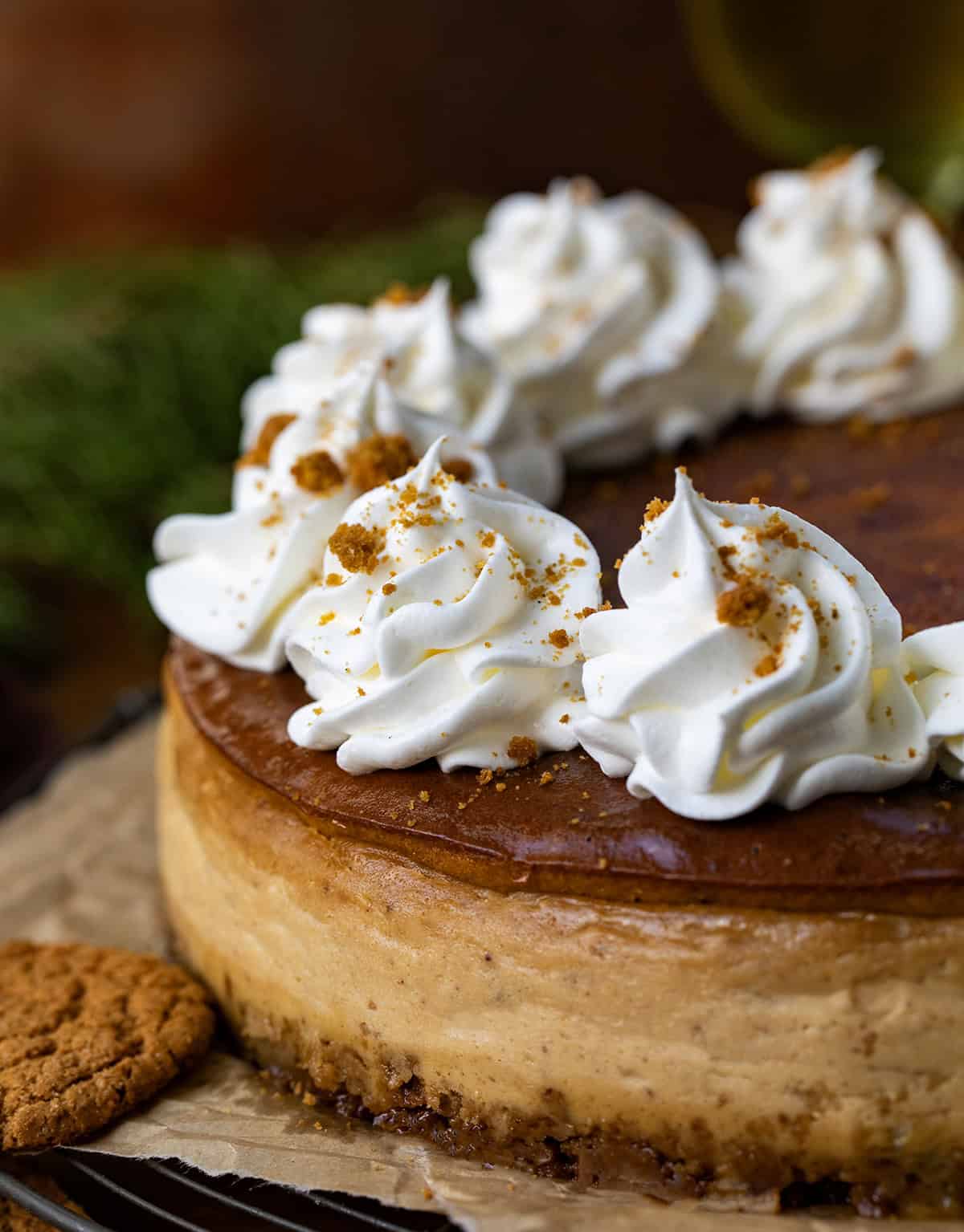 Close up of the edge of a Gingerbread Cheesecake with whipped cream and gingersnap cookie crumble.