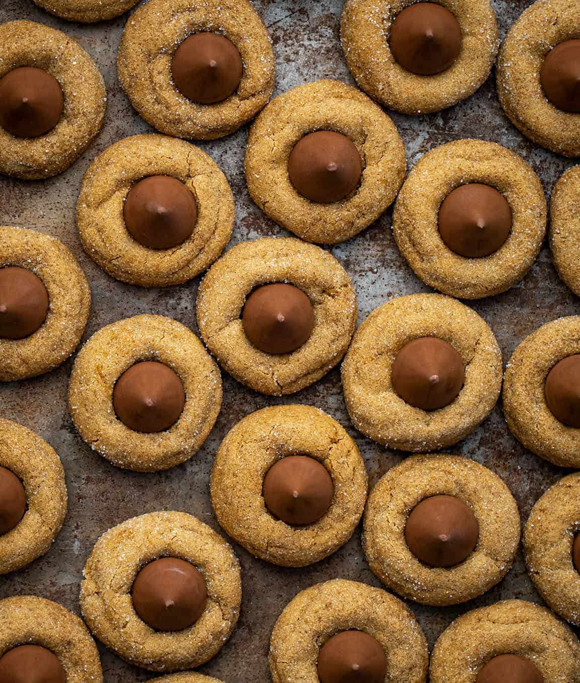 Gingerbread Kiss Cookies on a table from overhead.