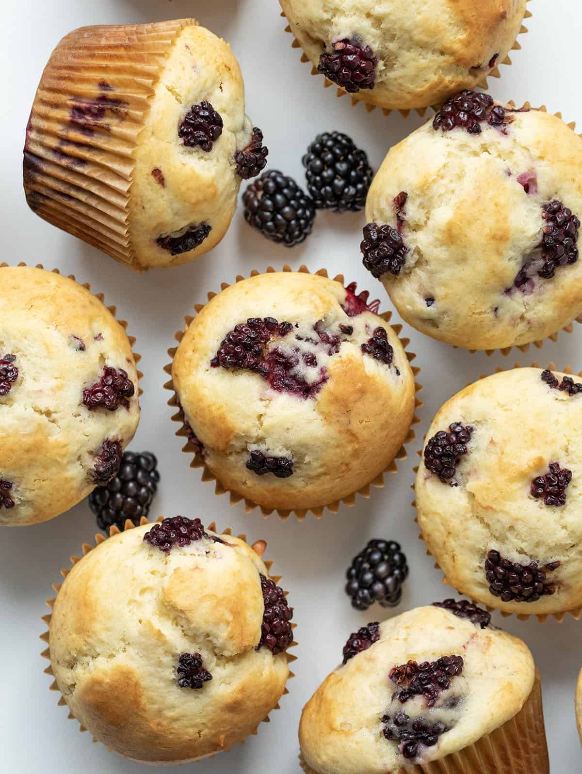 Blackberry Muffins on a white table with fresh blackberries from overhead.