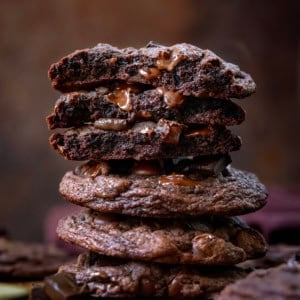 Stack of Bloomed Cocoa Chocolate Chip Cookies with top cookies broken in half showing inside texture.