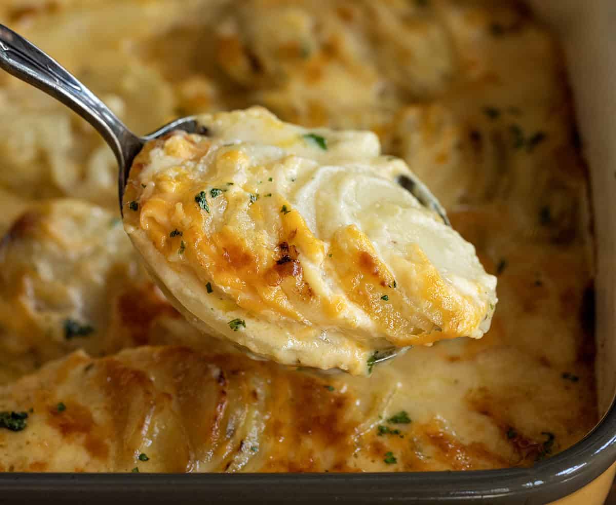 Close up of a serving spoon filled with Cheesy Scalloped Potatoes.