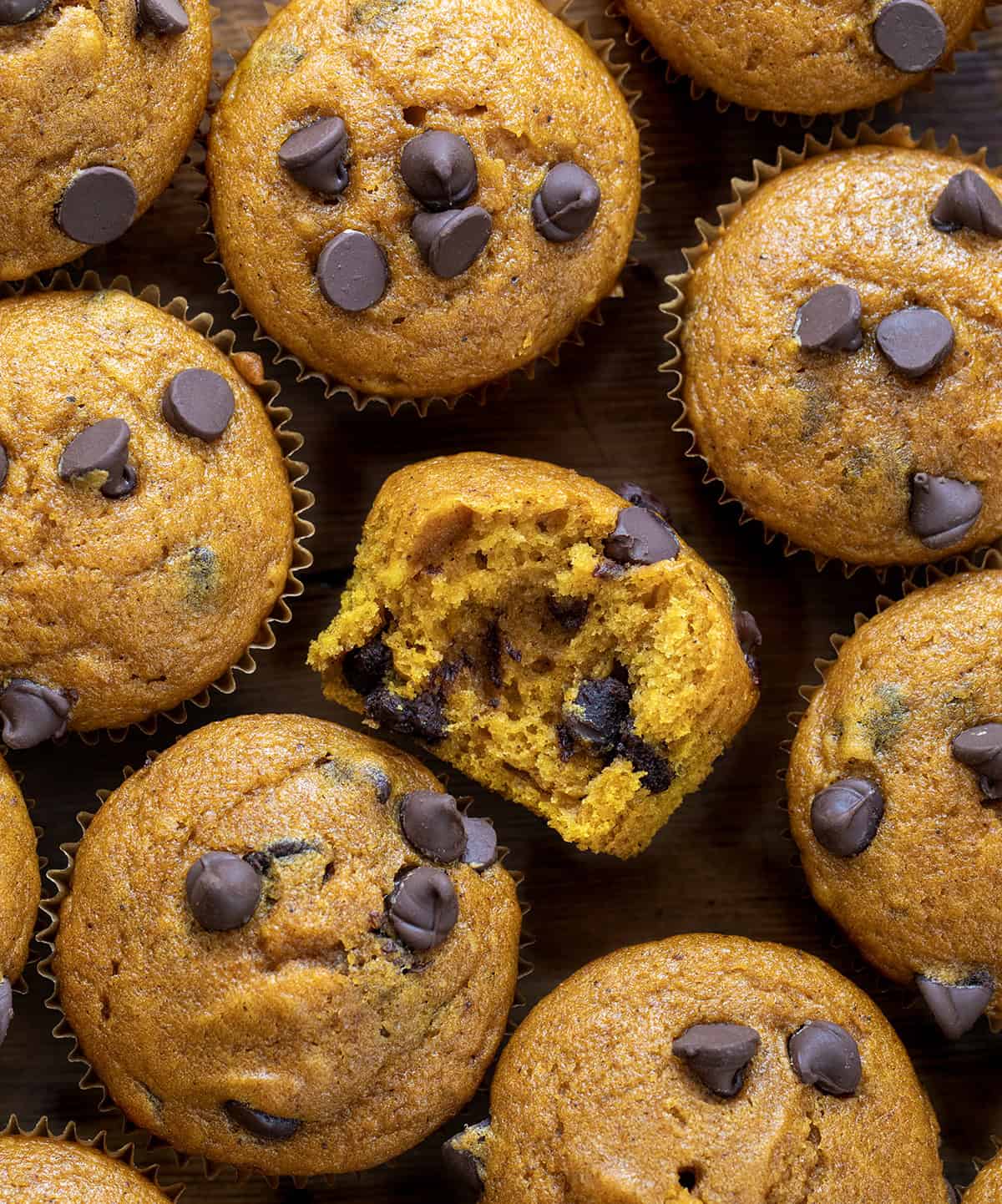 Chocolate Chip Pumpkin Muffins on a wooden table with the center muffin halved showing the inside texture.
