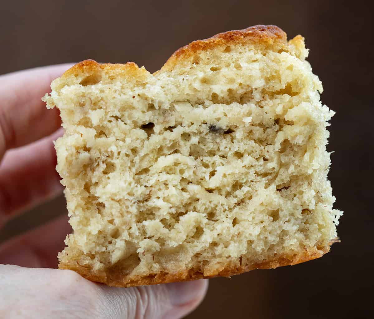Hand holding a Banana Butter Swim Biscuit.