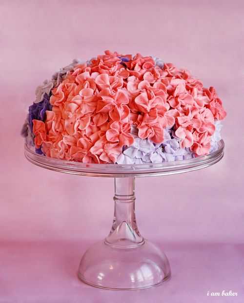 Hydrangea Cake I Am Baker