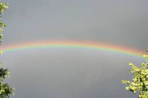 IMG_3109.rainbow